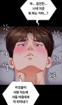 캣파이트 단계