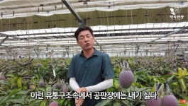 농민들이 공판장을 혐오할수 밖에 없는 이유 | 유머 게시판 농민들이 공판장을 혐오할수 밖에 없는 이유 | 유머 게시판 | 루리웹