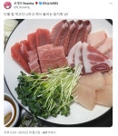 로제타) 밥을 못 먹고 다닌다던 로제타 | 유머 게시판 로제타) 밥을 못 먹고 다닌다던 로제타 | 유머 게시판 | 루리웹