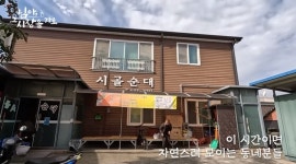 백종원이 미쳤냐고한 전북 진안 맛집 시골순대jpg