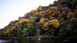 JR패스를 이용한 5박 6일 일본 여행기 스압 주의