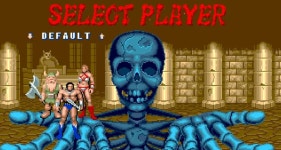 자작골든엑스 엑스 배틀러 해골병사 커스텀