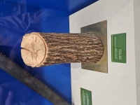 오늘 박물관 근황ㄷㄷ