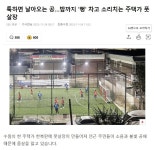 보기만 해도 정신나갈 주택가 풋살장 | 유머 게시판 보기만 해도 정신나갈 주택가 풋살장 | 유머 게시판 | 루리웹