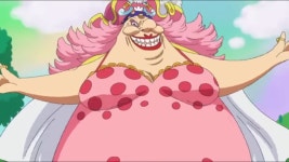 원피스 빅맘 카이도 관련 궁금한 부분