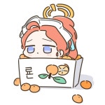블루아카귤박스 유즈