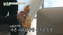 딸을 위해 닌텐도 팝업 샵에 오픈런 한 이동건