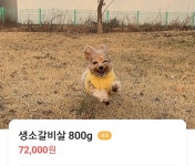 소갈빗살 | 유머 게시판 소갈빗살 | 유머 게시판 | 루리웹