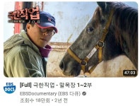 말 목장 업무 특