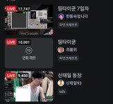 스트리머판 해외여행 결격사유가 없는 자 버젼
