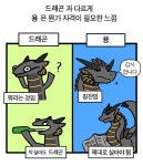 용과 드래곤의 차이