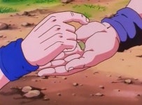 어이 셀그게 선두다 먹어라