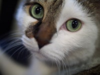 고선생이 영원의 세계로 떠났습니다