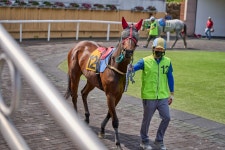 렛츠런파크 부산 경남