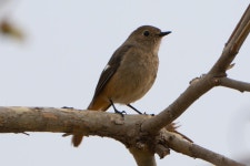 한달전 창릉천을 따라 한강변까지