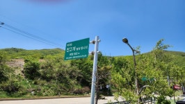 사천항에서 물회먹고 진고개 넘어서 오대산 월정사 갔습니다