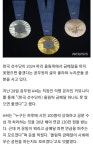 금메달에 왜 연금 주나 공무원이 쓴 글 시끌 | 유머 게시판 금메달에 왜 연금 주나 공무원이 쓴 글 시끌 | 유머 게시판 | 루리웹