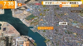 일본 시가지로 내려와 마트를 덮친 곰 사건.jpg | 유머 게시판 일본 시가지로 내려와 마트를 덮친 곰 사건.jpg | 유머 게시판 | 루리웹