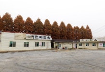 심심해서 써본 대전냉면 3대 맛집