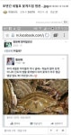 드럼통 일베 고발 이거 신호 아님