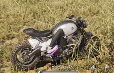 원스휴먼요즘 애들이 오토바이 타는 방식