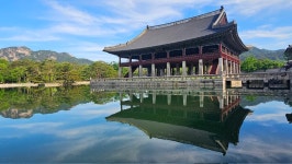 경복궁 경회루에 살고있는 생물