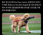 1000의 기록을 가진 야구선수