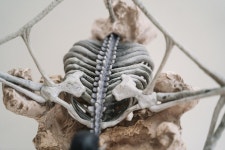 이치방쿠지 진격의거인 종미의거인과 땅울림 피규어