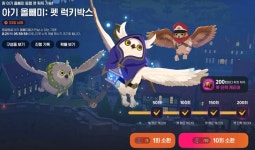 마비m 뽑기 결과