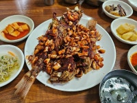 뒤늦은 제주도 4박5일 여름휴가