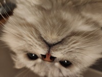 찜질방이라고 안보면 후회한다