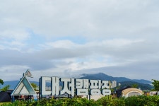 부산 대저 생태공원