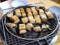 풍천민물장어는 맛있다