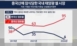 태양광 아무도 신경안쓰고 원자력만 주구장창 외친 결과
