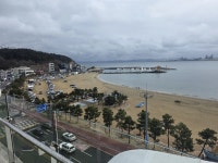 포항 물회