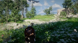 PC 붉은 사막 재밌게 하고 있는 중입니다