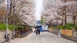 서울 여행기 영등포 여의도 이촌