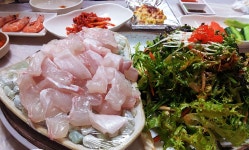 떡만큼 쫄깃한 大광어 막회