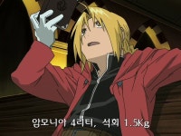 강철의 연금술사