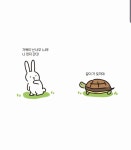 토끼와 거북이