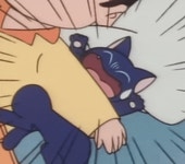 옛날 애니메이션 미소의 세상에서 주인공이 기르는 고양이