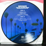 LP BRONZE 브론즈 Aquarium