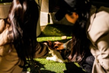 종로 쪽 출사라고 쓰고 방황기