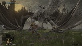 비룡아길 재밌네요ㅋㅋㅋ