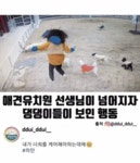 애견유치원 선생님이 넘어지자 댕댕이들이 보인 행동