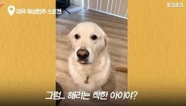 멍멍아 누가 착한 아이이니