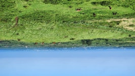 구좌읍 용눈이오름 | 유머 게시판 구좌읍 용눈이오름 | 유머 게시판 | 루리웹