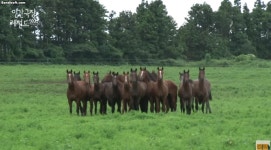 말딸) 카렌쨩이 실제로 마방 보스 였다지? | 유머 게시판 말딸) 카렌쨩이 실제로 마방 보스 였다지? | 유머 게시판 | 루리웹