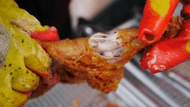 시골 통닭... | 유머 게시판 시골 통닭... | 유머 게시판 | 루리웹