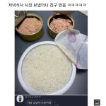 저녁 사진을 본 친구가